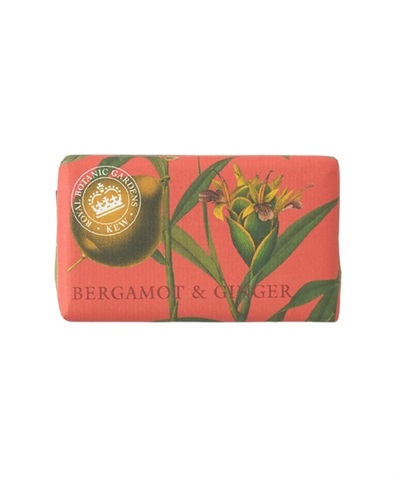 BERGAMOT&GINGER(BERGAMOT&GINGER-ONESIZE)