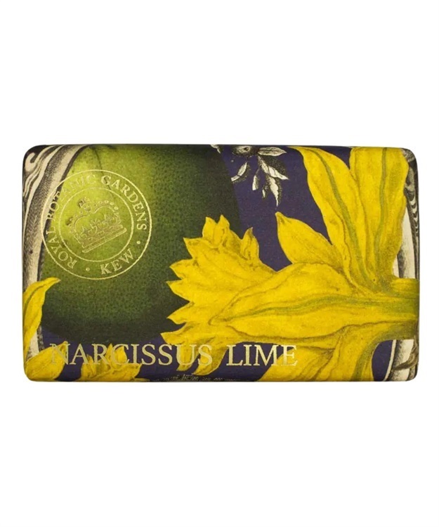 NARCISSUS LIME(NARCISSUS LIME-ONESIZE)