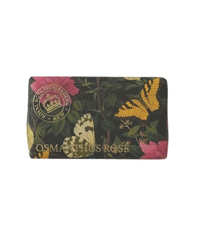 OSMANTHUS ROSE