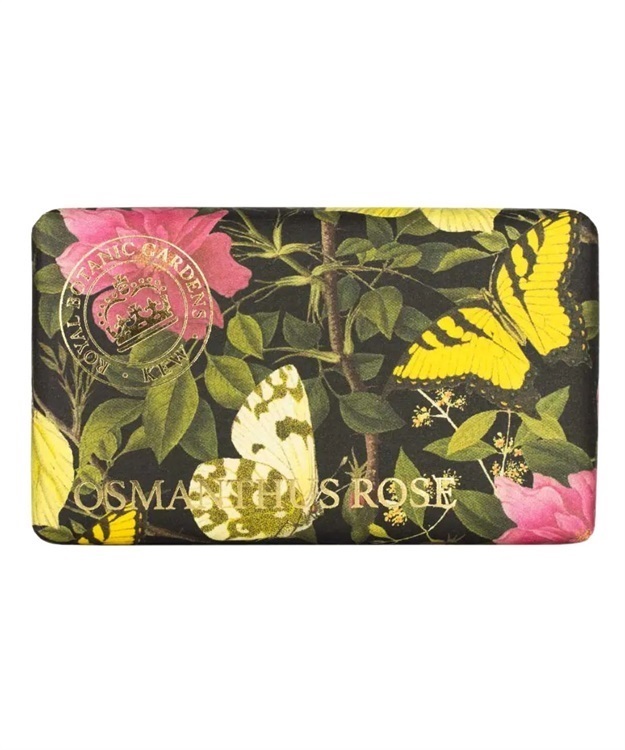 OSMANTHUS ROSE(OSMANTHUS ROSE-ONESIZE)