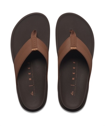THE RAGLAN(JAVA/GUM-8)